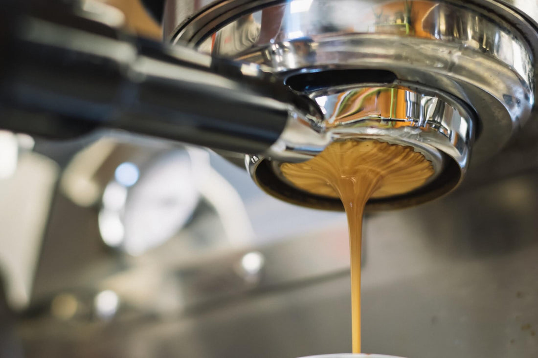 The Art of Latte: Mastering Milk Steaming and Pouring